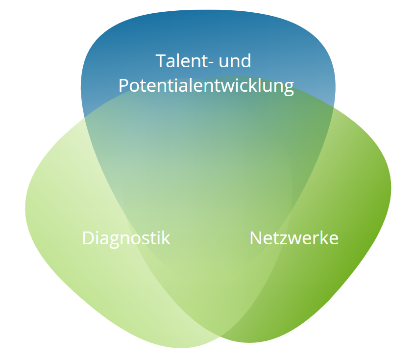 Schaubild Personalentwicklung bei Fühungskräften über Talent- und Potentialentwicklung, Diagnostik sowie Netzwerke